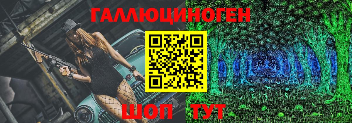 Псилоцибиновые грибы Psilocybe Липецк