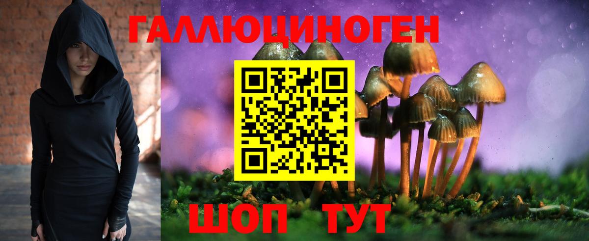 Липецк  Галлюциногенные грибы Psilocybine cubensis  Вход с VPN  Галлюциногенные грибы Psilocybine cubensis 